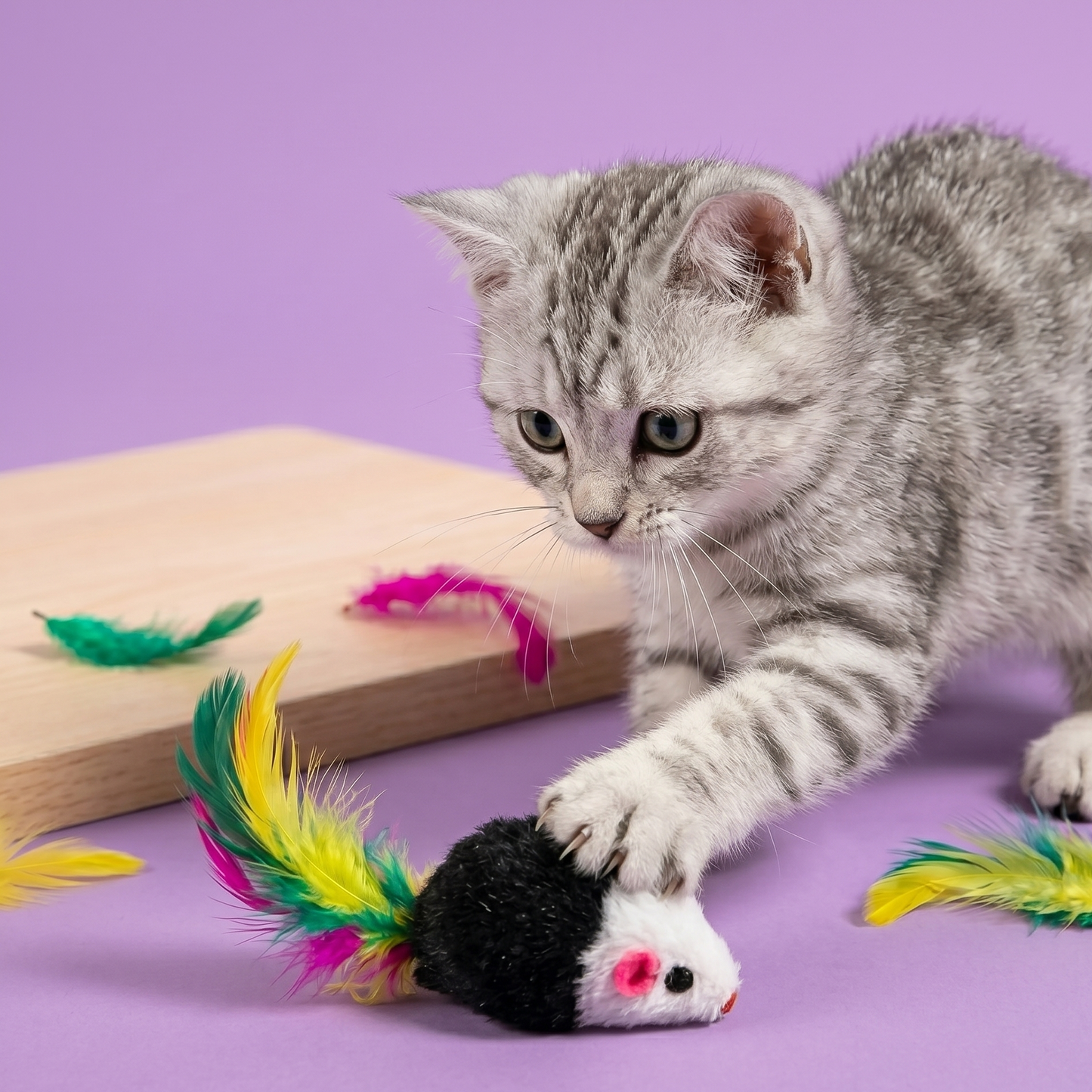 Party-Pack FeatherMouse