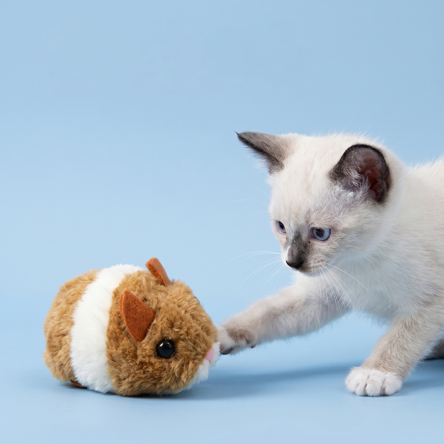 Fury-Mouse