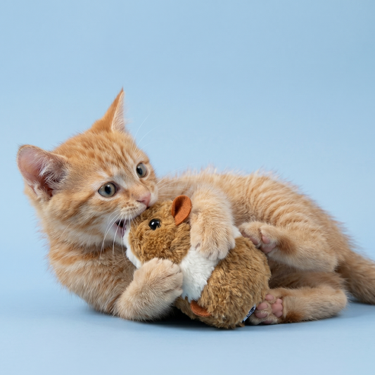 Fury-Mouse